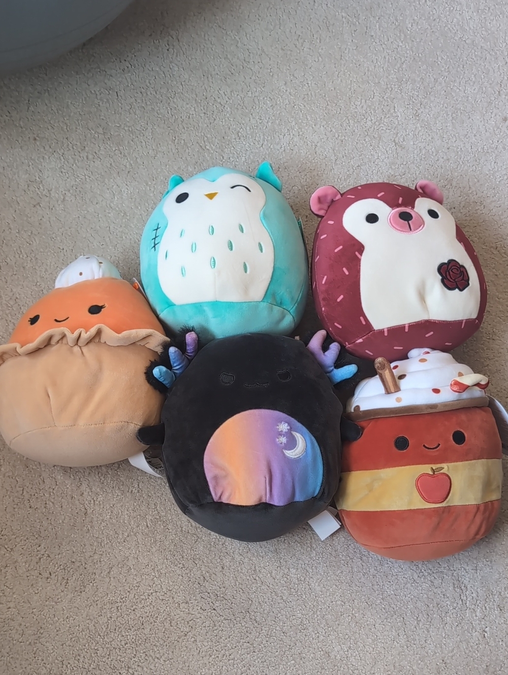 Halloween/Fall Medium Squishmallows Lot